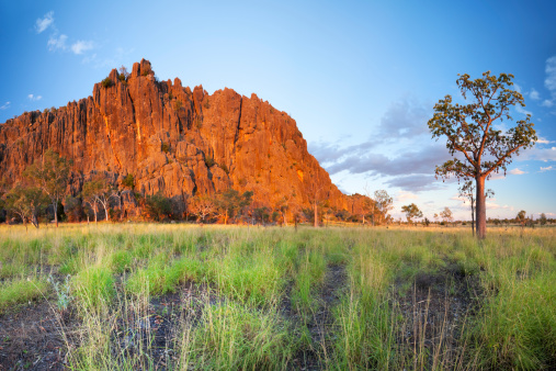 Boabs and red rocks in the Kimberley region of Australia. Shot at the Windjana Gorge along the Gibb River Road, Western Australia. A seamlessly stitched panoramic image with a total size of 39 megapixels.