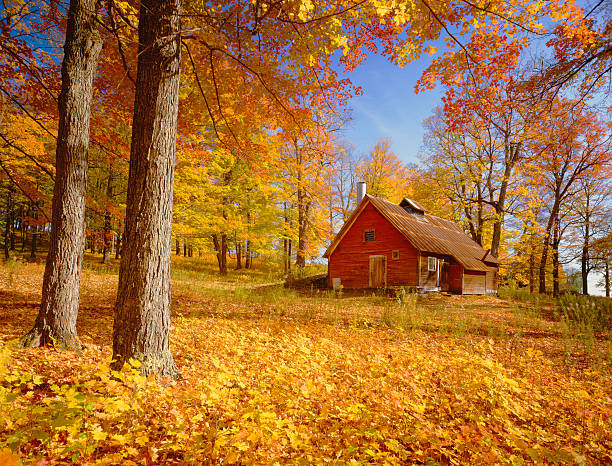 Old Rustic Sugar House surrounded By Maple Trees\n\n[url=http://www.istockphoto.com/search/lightbox/11154853?refnum=rachwal81#1ea91a24][img]http://davesucsy.com/rpt/ThomasBanner16a.jpg[/img][/url] [url=file_closeup.php?id=21708631][img]file_thumbview_approve.php?size=1&id=21708631[/img][/url] [url=file_closeup.php?id=21490175][img]file_thumbview_approve.php?size=1&id=21490175[/img][/url] [url=file_closeup.php?id=21206442][img]file_thumbview_approve.php?size=1&id=21206442[/img][/url] [url=file_closeup.php?id=17366583][img]file_thumbview_approve.php?size=1&id=17366583[/img][/url] [url=file_closeup.php?id=14104024][img]file_thumbview_approve.php?size=1&id=14104024[/img][/url] [url=file_closeup.php?id=26463522][img]file_thumbview_approve.php?size=1&id=26463522[/img][/url] [url=file_closeup.php?id=25828679][img]file_thumbview_approve.php?size=1&id=25828679[/img][/url] [url=file_closeup.php?id=17549956][img]file_thumbview_approve.php?size=1&id=17549956[/img][/url] [url=file_closeup.php?id=17541798][img]file_thumbview_approve.php?size=1&id=17541798[/img][/url] [url=file_closeup.php?id=25688087][img]file_thumbview_approve.php?size=1&id=25688087[/img][/url]