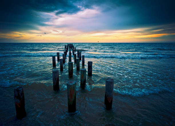 atardecer en la playa en naples, florida - florida naples florida pier beach fotografías e imágenes de stock