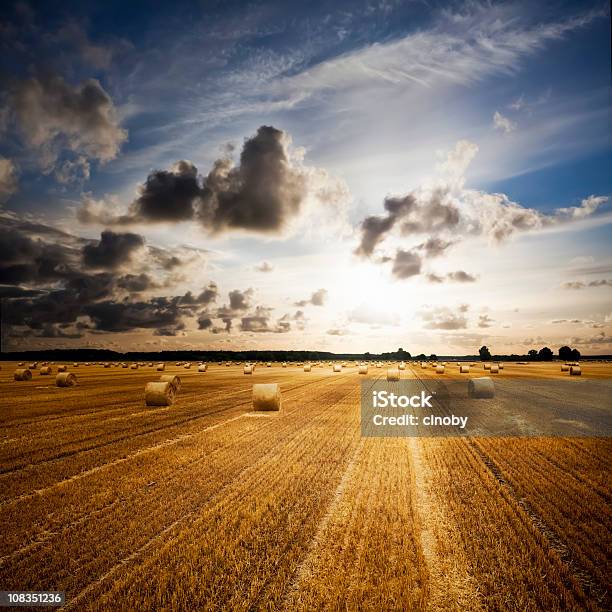 Foto de Bale De Palha e mais fotos de stock de Agricultura - Agricultura, Beleza natural - Natureza, Campo