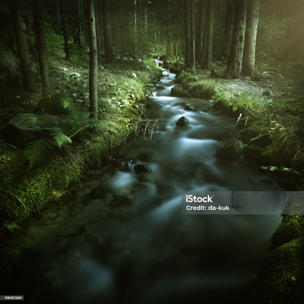 Stream im Wald - Lizenzfrei Bach Stock-Foto