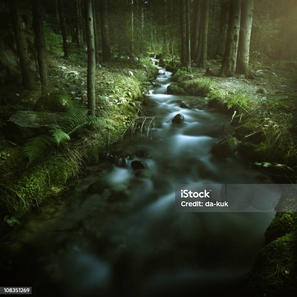 Stream Im Wald Stockfoto und mehr Bilder von Bach - Bach, Moos, Sonnenlicht