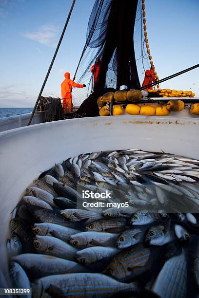Foto de Pesca e mais fotos de stock de Criação de Peixes - Criação de Peixes, Aquacultura, Indústria da pesca