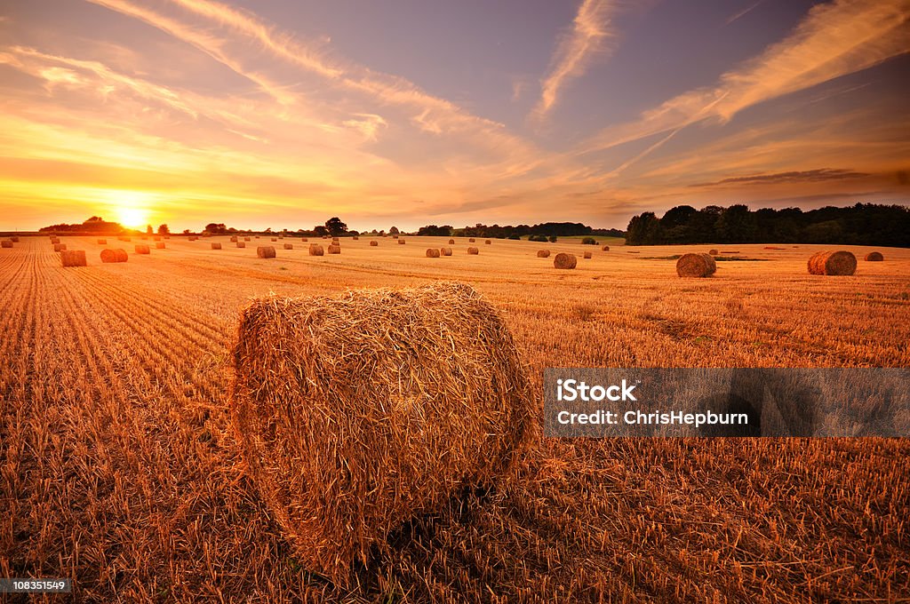 Hay Bale Sunset  Agricultural Field Stock Photo