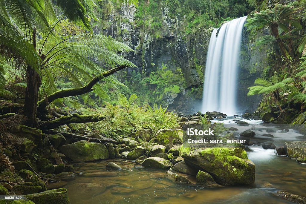 Floresta pluvial cascatas, Catarata de Hopetown, de Otway NP, Victoria, Austrália - Royalty-free Floresta pluvial Foto de stock