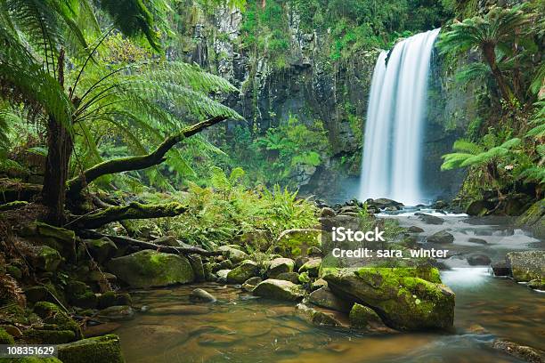Floresta Pluvial Cascatas Catarata De Hopetown De Otway Np Victoria Austrália - Fotografias de stock e mais imagens de Floresta pluvial
