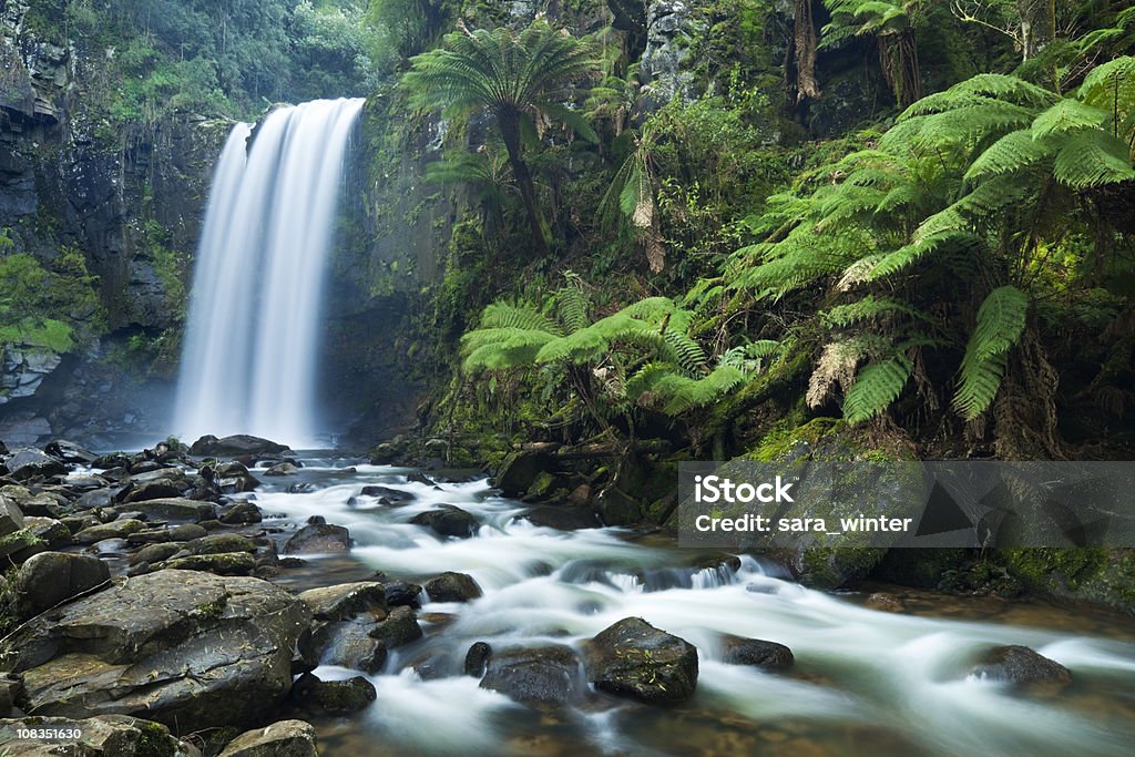 Cascate, foresta pluviale Cascata di Hopetoun, di Otway NP, Victoria, Australia - Foto stock royalty-free di Cascata
