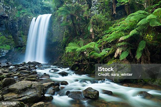 Cascate Foresta Pluviale Cascata Di Hopetoun Di Otway Np Victoria Australia - Fotografie stock e altre immagini di Cascata