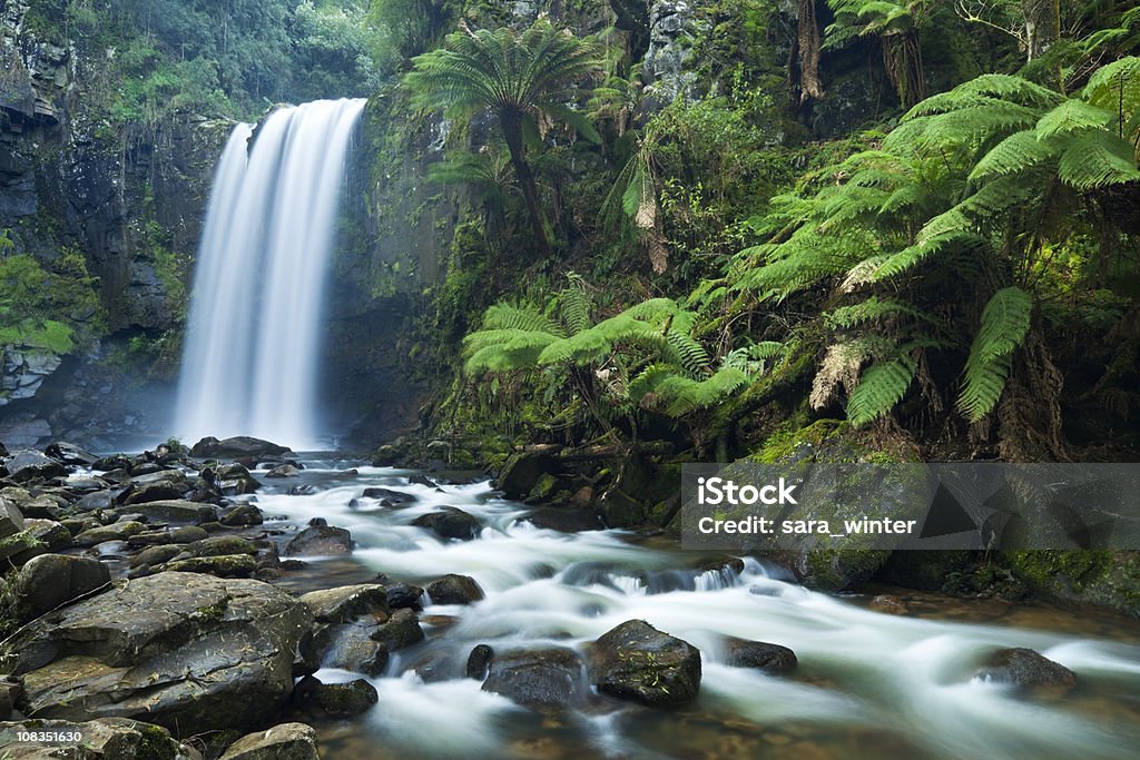 熱帯雨林、滝のホープタウンの滝、素晴らしいオトウェー NP 、Victoria ,Australia - 滝のロイヤリティフリーストックフォト