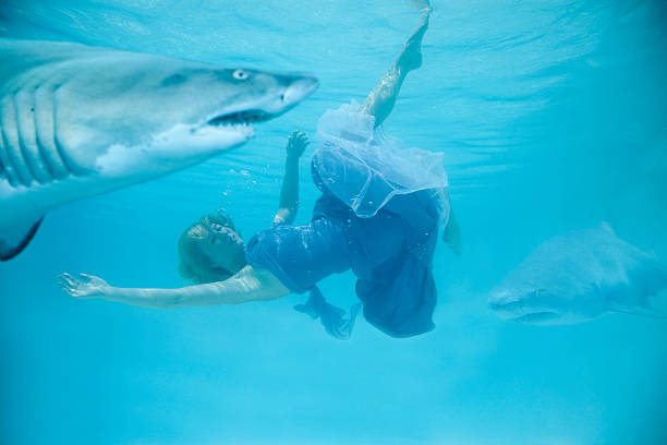 istock Woman swimming with sharks 108351702