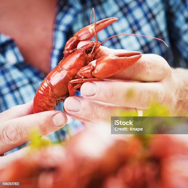 Foto de Comer Lagostas e mais fotos de stock de Adulto - Adulto, Alimentação Saudável, Arranjo