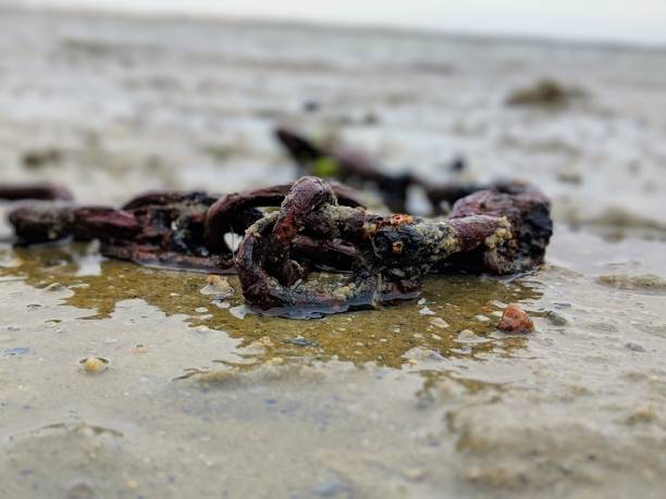 istock Rusted chain washed ashore on the beach 1083517940