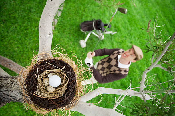 istock Play The Ball Where It Lies 108351977