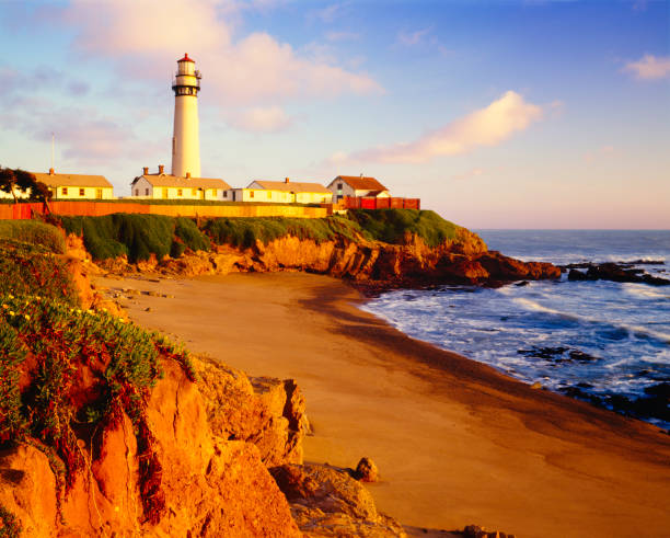istock Pigeon Point Lighthouse on California Coastline 108351997