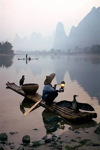 Photo of Comorant Birds Sitting on Fisherman's Boat in Li River