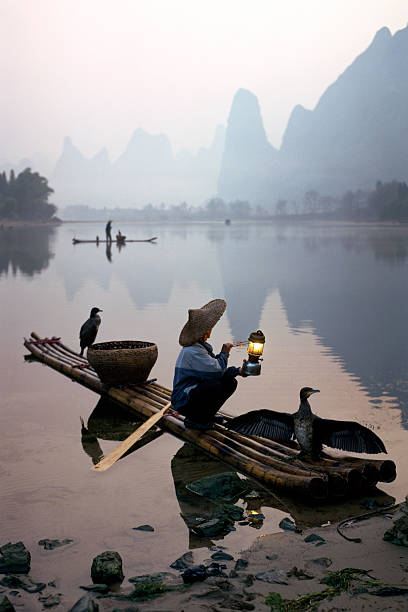 comorant pescador de aves sentado no barco no rio li - yangshuo imagens e fotografias de stock