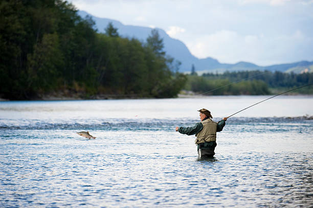 muelle con pescado salto - fly fishing fishing river fisherman fotografías e imágenes de stock