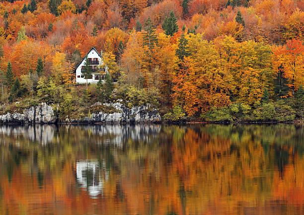 istock house at the lake 108352262