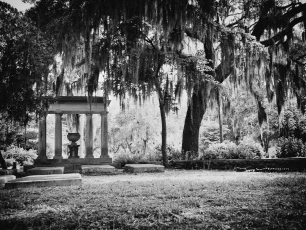 Road in Bonaventure Cemetery in Savannah lined with Spanish Moss covered Live Oak Trees.