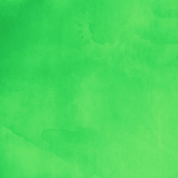 istock Green pastel color background with shades. 1083524572