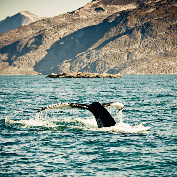 Photo taken in , New Zealand