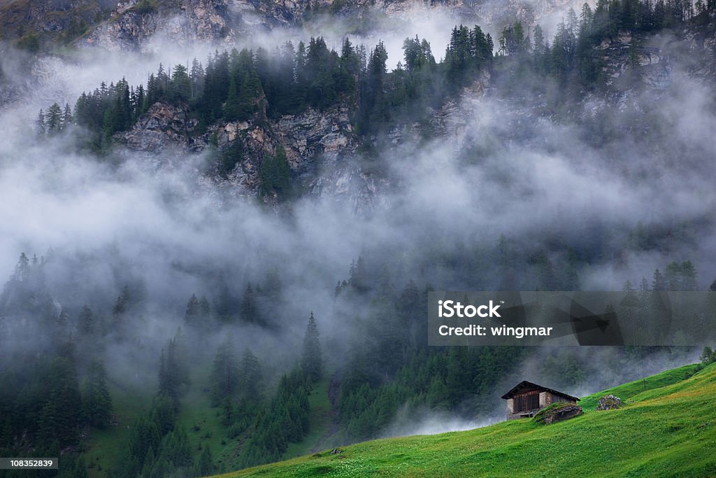 Árboles en la niebla los grisones-Suiza - Foto de stock de Aire libre libre de derechos