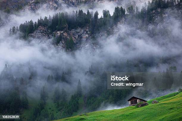 Árboles En La Niebla Los Grisonessuiza Foto de stock y más banco de imágenes de Aire libre - Aire libre, Alpes Europeos, Alpes suizos