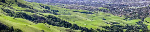 Photo of Aerial view of green hills at the base of Mission Peak in south San Francisco bay area, a popular area for hiking, residential areas of Fremont in the background, California