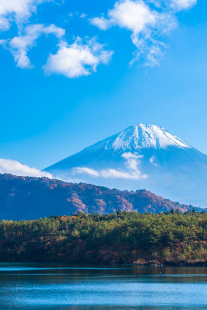 bellissimo paesaggio di montagna fuji con albero di foglie d'acero intorno al lago - japanese maple leaf water japan foto e immagini stock