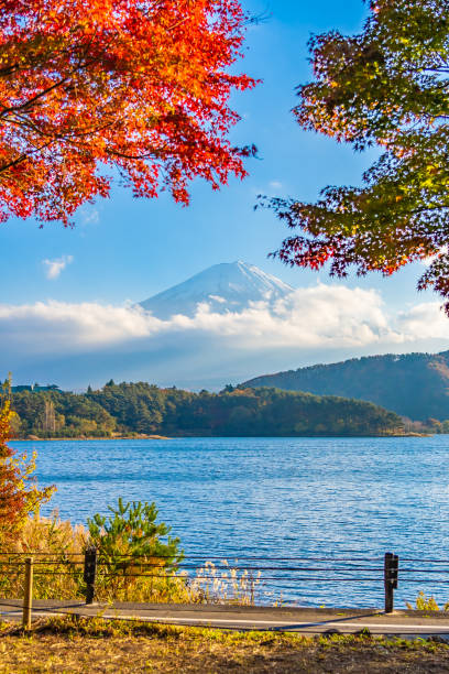 istock Beautiful landscape of mountain fuji with maple leaf tree around lake 1083530806