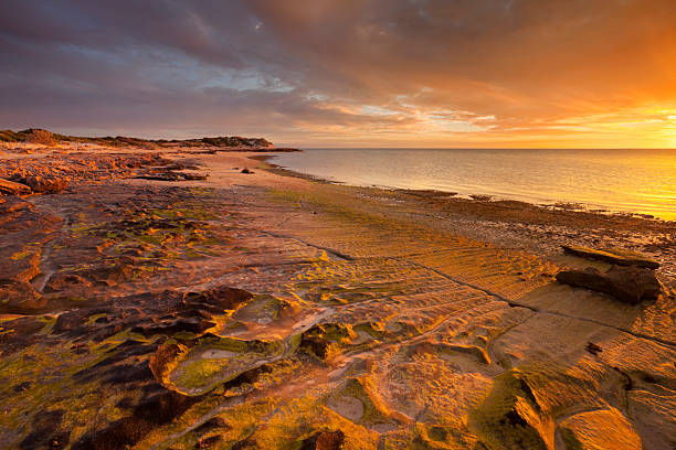 A serene coastal scene captures the last golden light of day as the sun sets beyond the horizon. A long wooden pier stretches into the ocean from a quiet, sandy beach, with gentle waves rolling in. The sky is painted in layers of warm pastel tones—purples, oranges, and golds—reflected softly in the wet shoreline. This tranquil sunset image evokes solitude, peace, and timeless coastal beauty, ideal for themes like mindfulness, vacation, nature, escape, or freedom.