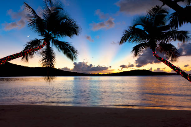 natale alberi di palma al tramonto su una spiaggia caraibica - christmas palm tree island christmas lights foto e immagini stock