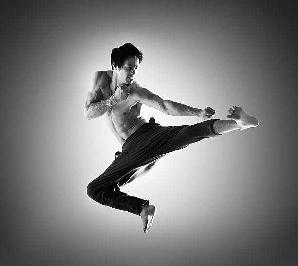 5,500+ Karate Studio Stock Photos, Pictures & Royalty-Free Images - iStock