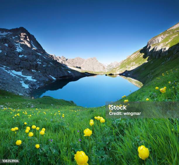 Lago Alpin Gufelsee Em Tiroláustria - Fotografias de stock e mais imagens de Prado - Prado, Alpes Europeus, Trollius