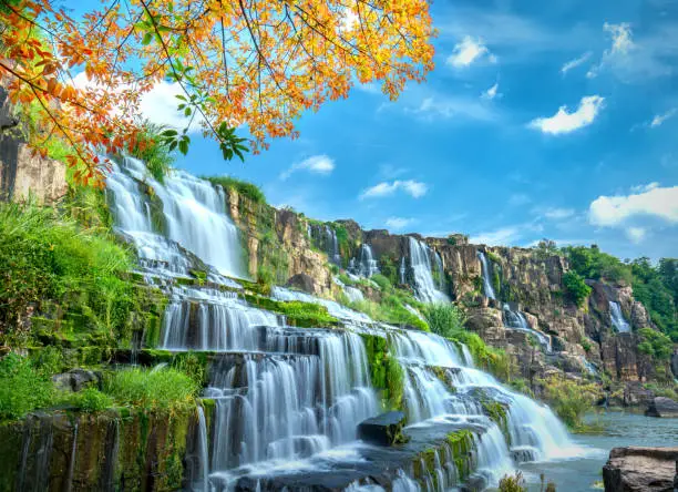 Mystical waterfall with foreground is autumn leaves in the Da Lat plateau, Vietnam. This is known as the first Southeast Asian waterfall in the wild attracted many tourists to visit