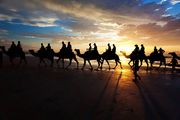 Photo of Cable beach sunset camel ride