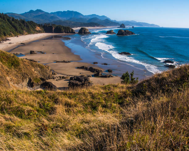 istock Beaches of Oregon Coast near Haystack Rock 1083542618