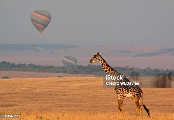 Foto de África Safari e mais fotos de stock de Balão de ar quente - Balão de ar quente, Parque Nacional de Serengeti, Animais de Safári