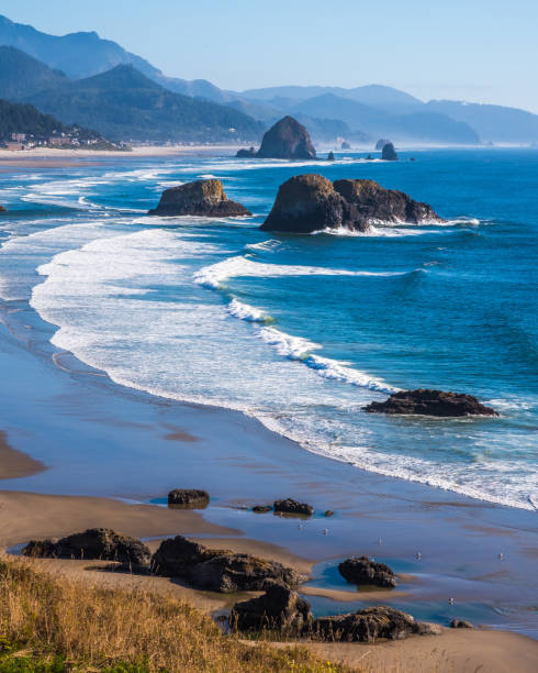istock Beaches of Oregon Coast near Haystack Rock 1083543564