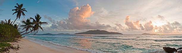 istock Ocean beach palm tree sunrise panorama tropical island shore Seychelles 108354537