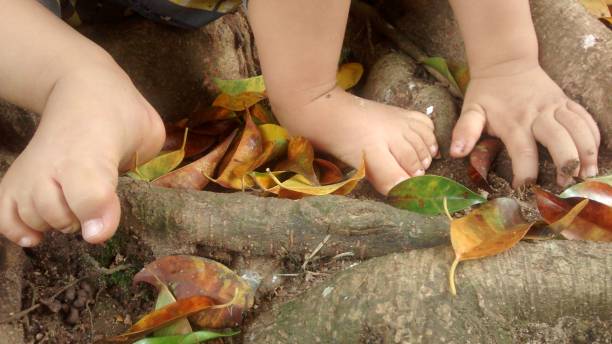 istock Child in contact with nature 1083545402