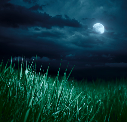 Meadow in a moonlight
[b][url=http://istockpho.to/YOesN9]See my other images of grasslands[/url][/b]

[url=file_closeup?id=8852383][img]/file_thumbview/8852383/1[/img][/url] [url=file_closeup?id=19154205][img]/file_thumbview/19154205/1[/img][/url] [url=file_closeup?id=28141158][img]/file_thumbview/28141158/1[/img][/url] [url=file_closeup?id=12649217][img]/file_thumbview/12649217/1[/img][/url] [url=file_closeup?id=10434508][img]/file_thumbview/10434508/1[/img][/url] [url=file_closeup?id=10442468][img]/file_thumbview/10442468/1[/img][/url] [url=file_closeup?id=11714984][img]/file_thumbview/11714984/1[/img][/url] [url=file_closeup?id=14389797][img]/file_thumbview/14389797/1[/img][/url] [url=file_closeup?id=10120478][img]/file_thumbview/10120478/1[/img][/url] [url=file_closeup?id=21873325][img]/file_thumbview/21873325/1[/img][/url] [url=file_closeup?id=8880385][img]/file_thumbview/8880385/1[/img][/url] [url=file_closeup?id=23357046][img]/file_thumbview/23357046/1[/img][/url] [url=file_closeup?id=10968203][img]/file_thumbview/10968203/1[/img][/url] [url=file_closeup?id=28360598][img]/file_thumbview/28360598/1[/img][/url] [url=file_closeup?id=32286862][img]/file_thumbview/32286862/1[/img][/url] [url=file_closeup?id=50805364][img]/file_thumbview/50805364/1[/img][/url]