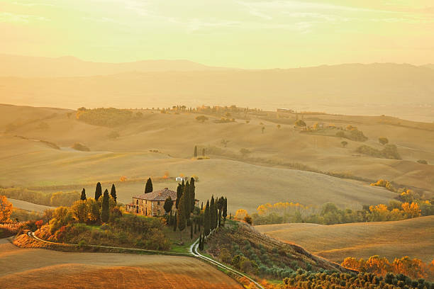 robotnik w toskania - tuscany landscape landscaped italy zdjęcia i obrazy z banku zdjęć