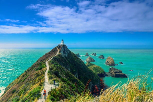 Sunny day at the Nugget Point Lighthouse with blue sky