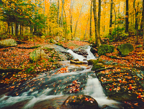 Molly Brook Cascades Through The Autumn Forest Near Groton Vermont

[url=http://www.istockphoto.com/search/lightbox/11154853?refnum=rachwal81#1ea91a24][img]http://davesucsy.com/rpt/ThomasBanner16a.jpg[/img][/url] [url=file_closeup.php?id=26122276][img]file_thumbview_approve.php?size=1&id=26122276[/img][/url] [url=file_closeup.php?id=14219895][img]file_thumbview_approve.php?size=1&id=14219895[/img][/url] [url=file_closeup.php?id=13960124][img]file_thumbview_approve.php?size=1&id=13960124[/img][/url]