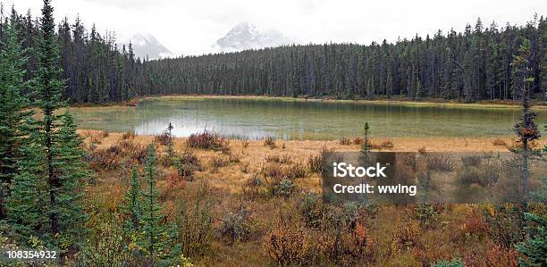 Autunno Alta Montagna Lago E Colori - Fotografie stock e altre immagini di Albero - Albero, Alberta, Ambientazione esterna