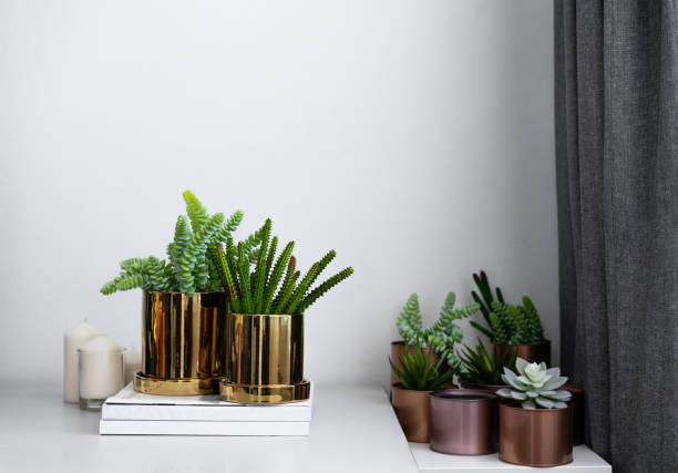 istock Composition of gold mirror ceramic pots with artificial plants inside setting on minimal books and group of copper aluminium pots in natural light setting scene / cozy interior concept / decoration 1083552712