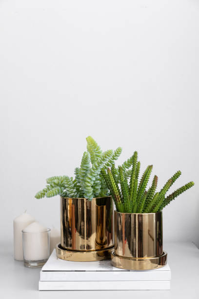 istock Composition of gold mirror ceramic pots with artificial plants inside setting on minimal books and group of copper aluminium pots in natural light setting scene / cozy interior concept / decoration 1083552714