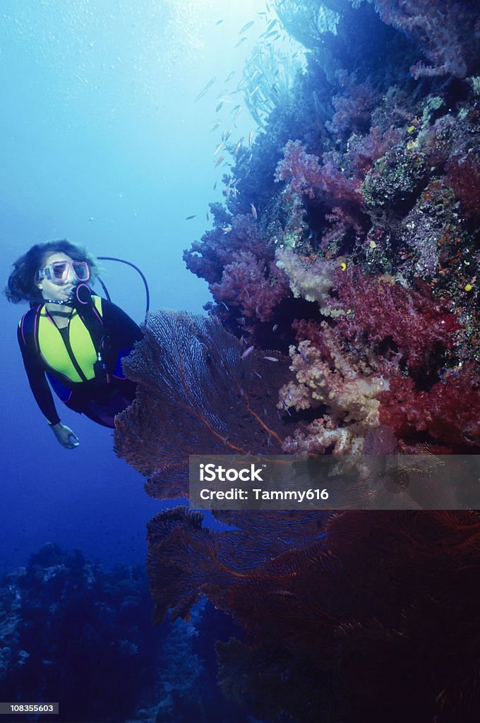 Femme sur un mur de corail - Photo de Activité de loisirs libre de droits