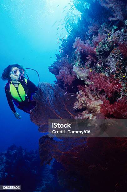 Photo libre de droit de Femme Sur Un Mur De Corail banque d'images et plus d'images libres de droit de Activité de loisirs - Activité de loisirs, Adulte, Animaux à l'état sauvage